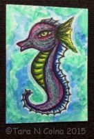 Little Seahorse